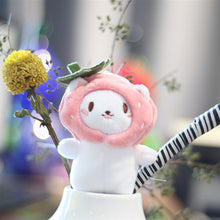 Load image into Gallery viewer, Korean INS Snapper Head Cat