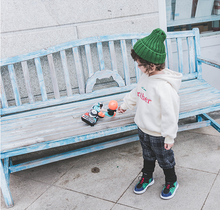 Load image into Gallery viewer, Baby Boy autumn clothes