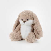 Load image into Gallery viewer, Plush Toy Doll Cute Rabbit