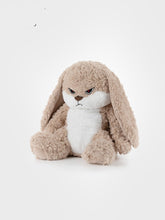 Load image into Gallery viewer, Plush Toy Doll Cute Rabbit