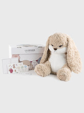 Load image into Gallery viewer, Plush Toy Doll Cute Rabbit