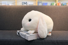 Load image into Gallery viewer, Cute Rabbit Plush Toy
